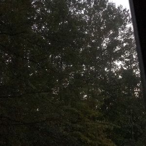 Meet your Posher, Dolores